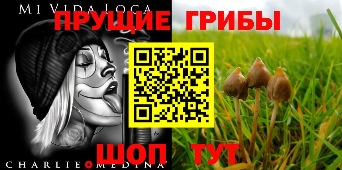 где купить   Вход с VPN  Энгельс  Галлюциногенные грибы прущие грибы  Галлюциногенные грибы GOLDEN TEACHER 